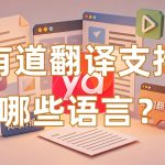 有道翻译支持哪些语言？